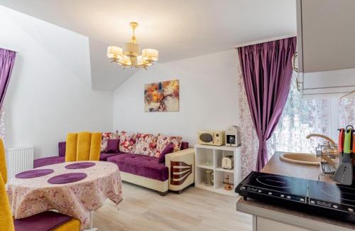 Slanic Casa | Pensiunea Casuta cu Trandafiri 2