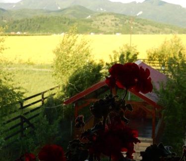Zarnesti Casa | Pensiunea Cetatea Craiului