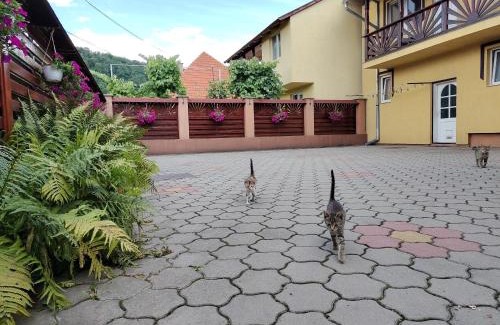 Praid Casa | PENSIUNEA DORINA