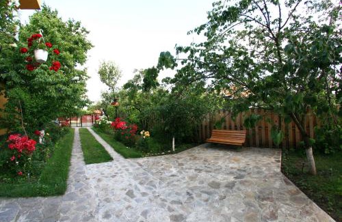 Tirgu Ocna Casa | Pensiunea Elena