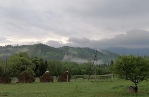 Bistrita Bargaului Casa | Pensiunea Freya