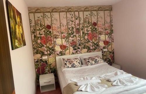 Medias Casa | Pensiunea Irish