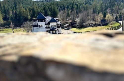 Manastirea Humorului Casa | Pensiunea La Brazi
