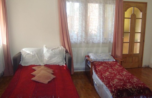 Oestii Paminteni Casa | Pensiunea Nicky