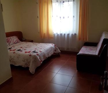 Oestii Paminteni Casa | Pensiunea Patricia
