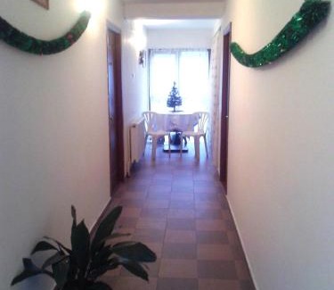 Baile Herculane Casa | Pensiunea Pinul Negru