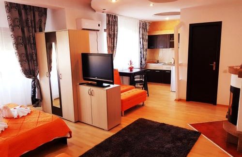 Timisoara Casa | Pensiunea Red Rose Apartments