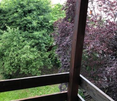 Ramnicu Valcea Casa | Pensiunea Residence