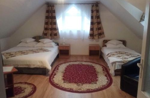 Pauleni-Ciuc Casa | Pensiunea Rose