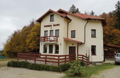 Cristian Casa | Pensiunea Rozelor Stațiunea Climaterică Sâmbăta