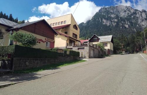 Busteni Casa | Pensiunea Sebastian