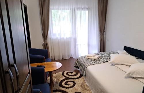 Pojorita Casa | PENSIUNEA TEOMIR