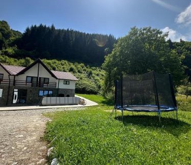 Rau Sadului Casa | Pensiunea Valea Pinului