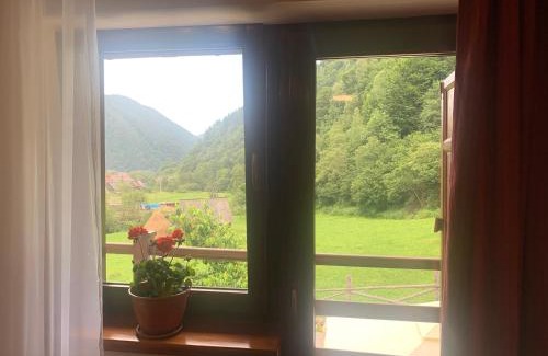 Rau Sadului Casa | Pensiunea Valea Pinului