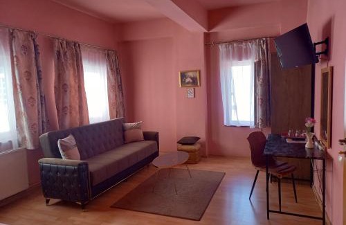 Cluj-Napoca Casa | Pensiunea Vila Dana