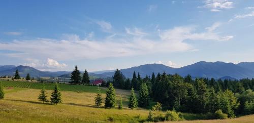 Piatra Fantanele Casa | Pensiunea Zana Muntilor