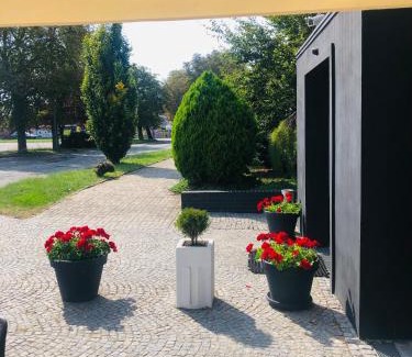 Jelcz-Laskowice Cama Y Desayuno | Pensjonat Trzy Stawy
