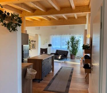 Vils Apartamento | Penthouse 17 Vils