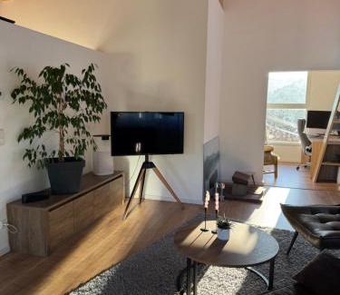 Vils Apartamento | Penthouse 17 Vils