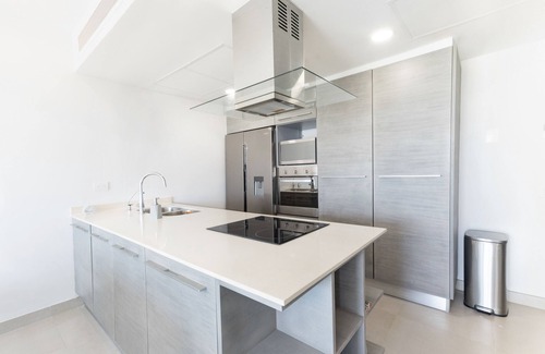 Villa Juarez Condominio | Penthouse 4 bed/3bath. 2 private terraces.