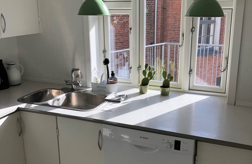 Ribe Apartamento | Ático a 50 metros del ayuntamiento en Ribe