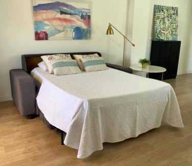 Los Remedios Apartamento | Penthouse Asuncion Feria