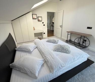 Bistrita Bargaului Apartamento | Penthouse Colibița