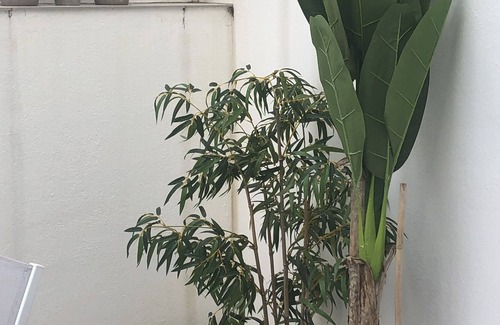 Cadaques Apartamento | Ático, contemporáneo, nuevo, estacionamiento, ascensor, 2 dormitorios + 1 sofá cama