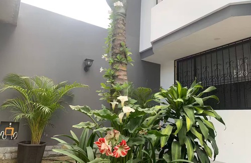 Ibarra Condominio | Penthouse Los Alisos- Panoramic and Cozy Terraces