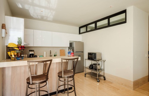Colonia Adolfo Lopez Mateos Condominio | Penthouse Perfect-Just Released