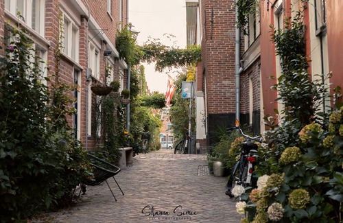 Alkmaar Apartamento | Penthouse Trendy inside the historical old city of Alkmaar!