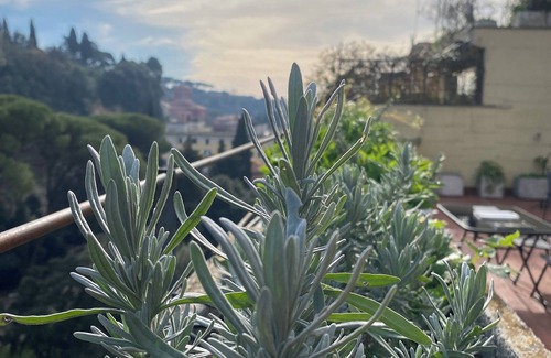 Quartiere III Pinciano Apartamento | Penthouse with terrace in Rome, a few steps from Piazza del Popolo