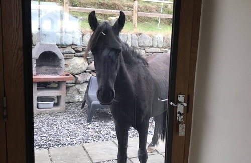 Barmouth Cabaña | Penty Mochyn