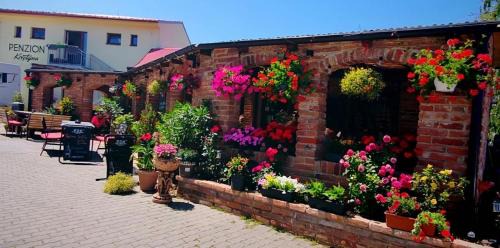Hrusovany nad Jevisovkou Casa | Penzion Kristýna