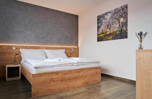 Stary Poddvorov Casa | Penzion Fialka