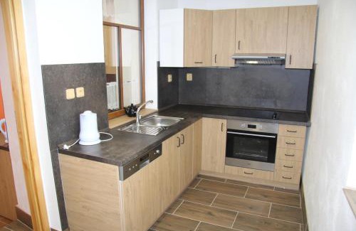 Orlicky Apartamento | Penzion Hanka Orličky
