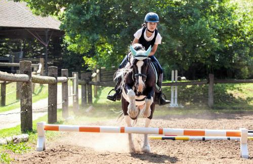 Lechovice Casa | Penzion Horse Farm Lechovice