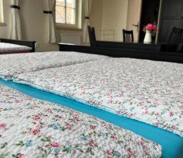 Boretice Casa | Penzion Jako Ze Škatulky