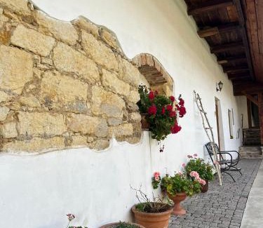 Sadek Apartamento | Penzion pod Březinkou