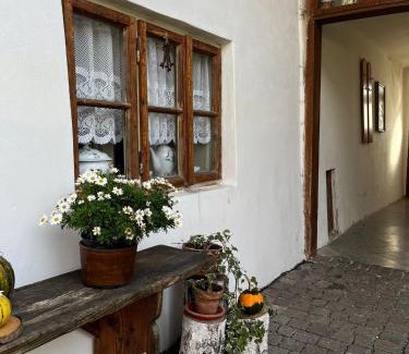 Sadek Apartamento | Penzion pod Březinkou