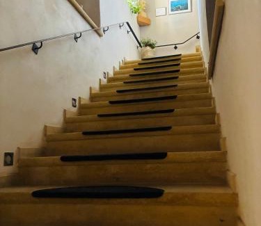 Lichoceves Casa | Penzion Schola