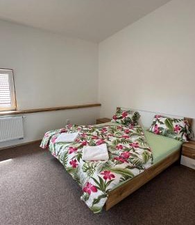 Ostrozska Nova Ves Apartamento | Penzion Slovácko 2