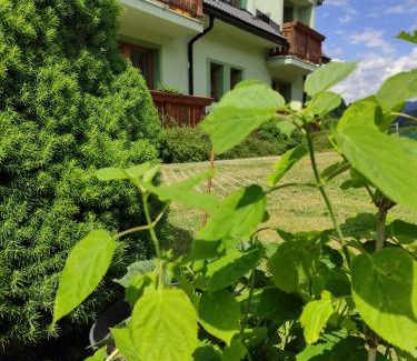 Liptovske Revuce Casa | Penzion Soltis