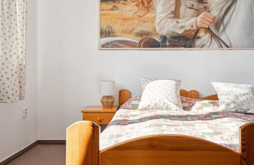 Jistebnice Apartamento | Penzion U Bizona