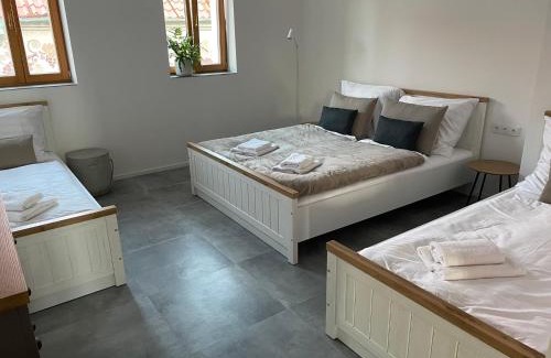 Mikulcice Apartamento | Penzion U Blechy a Švába