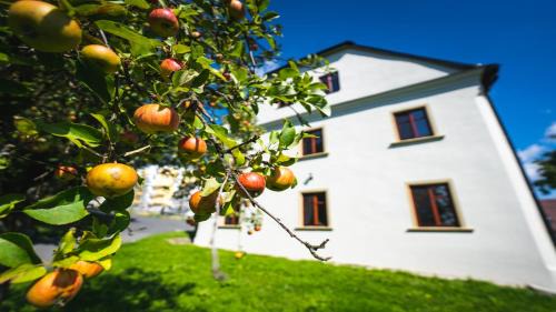 Tvrdkov Casa | Penzion U Křížové Cesty