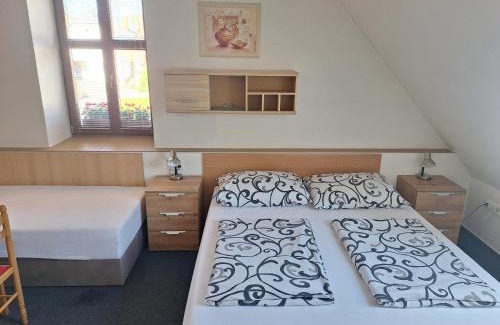 Jablonne nad Orlici Casa | Penzion U Vorlíčků