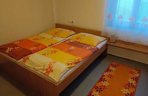 Dolni Moravice Casa | Penzion Vincent