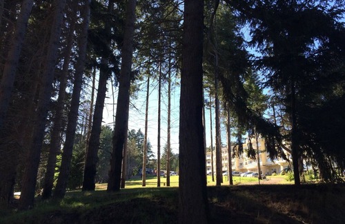 San Carlos de Bariloche Hotel | Perfect Hideaway: Garden View Room Near Nahuel Huapi Lake and Playa Del Centro