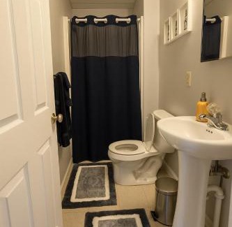 Morgantown Apartamento | Perfect for Groups! 3BR-3BA Near WVU & Downtown